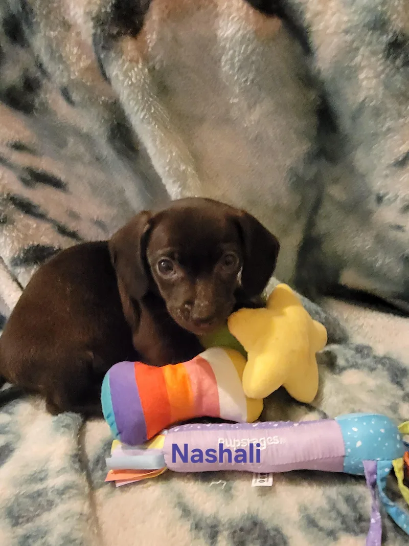 Nashali thumbnail 2