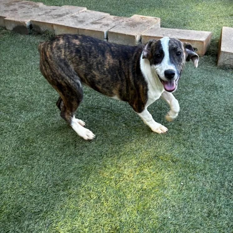 Elizebeth thumbnail 4