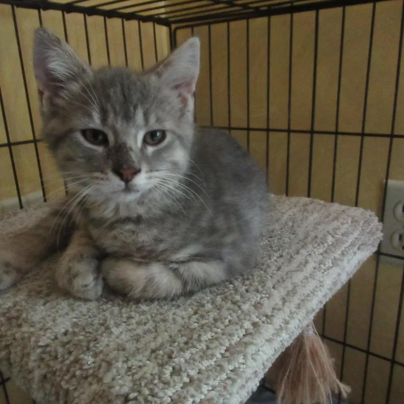 Baxter thumbnail 2