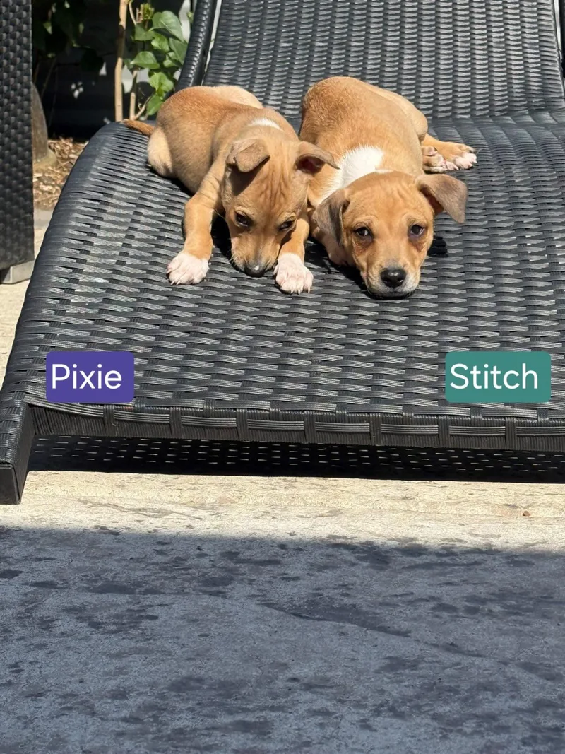 Stitch thumbnail 5