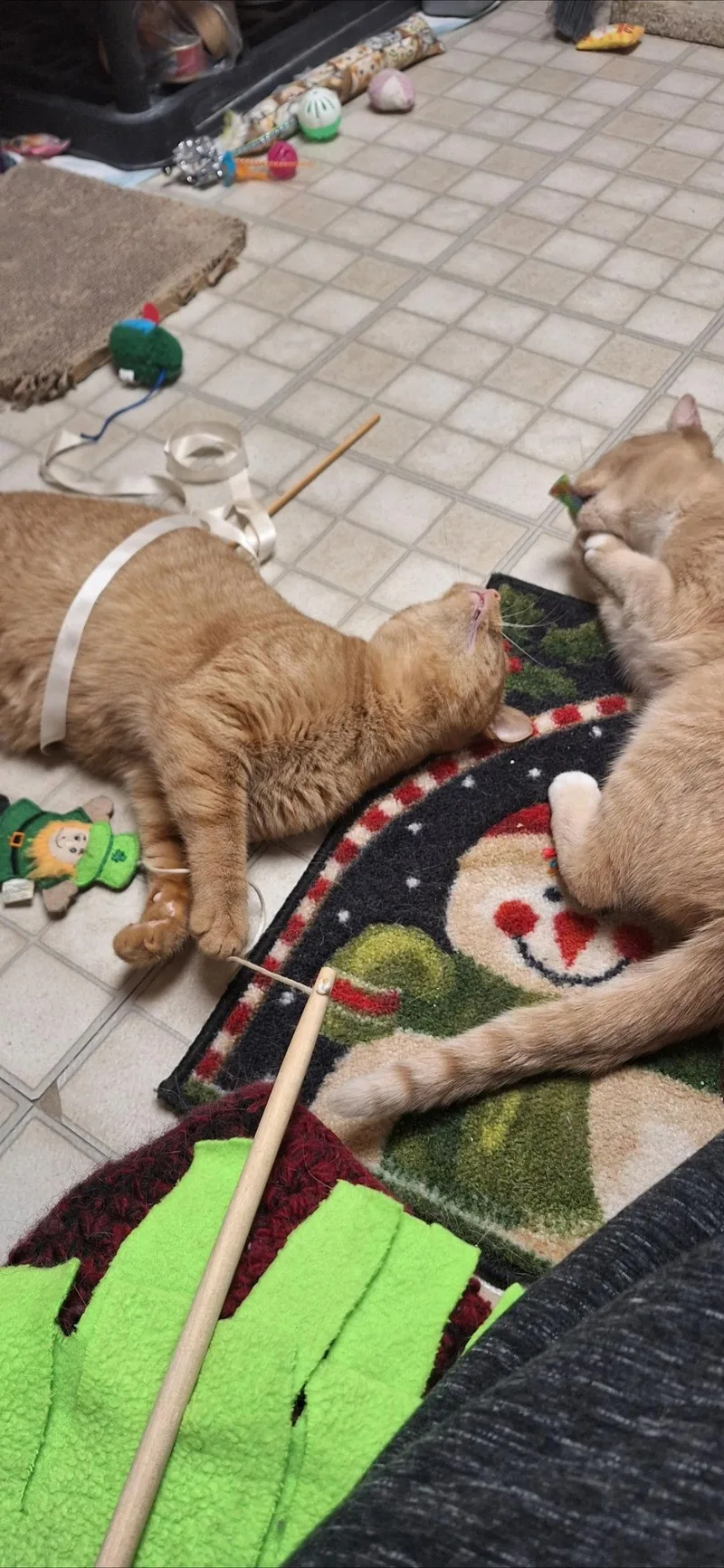 Echo And Relic thumbnail 2