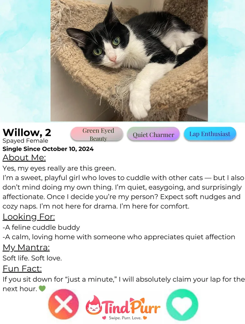 Willow thumbnail 3