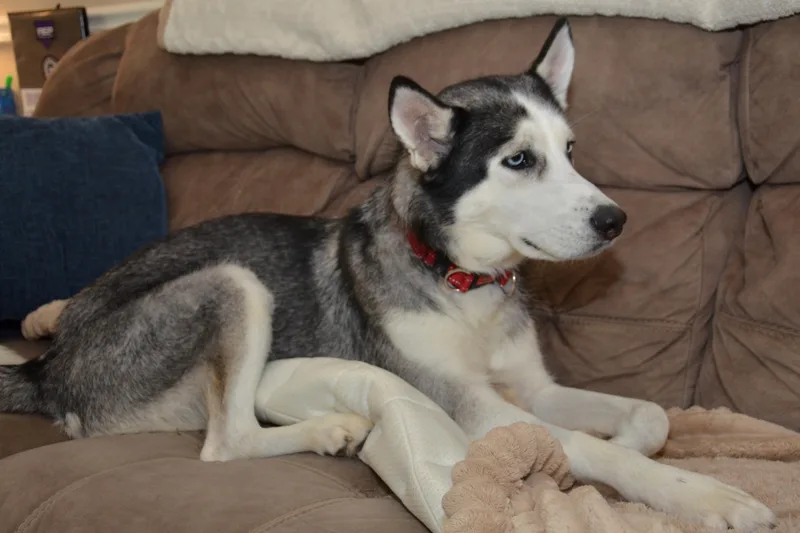 Luna Tula thumbnail 5