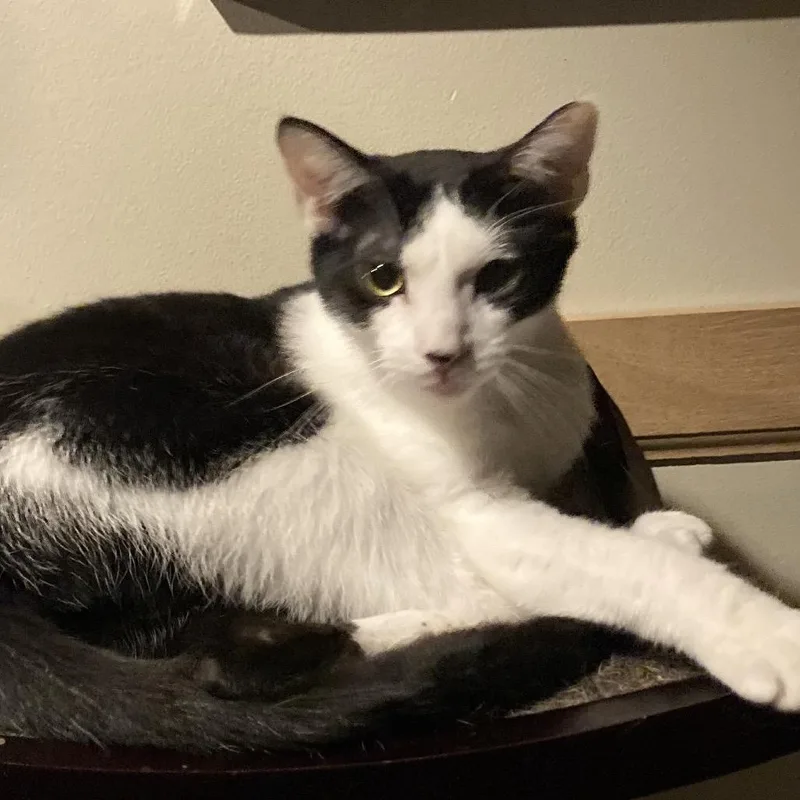 Gracen @ Pawz Pet thumbnail 3