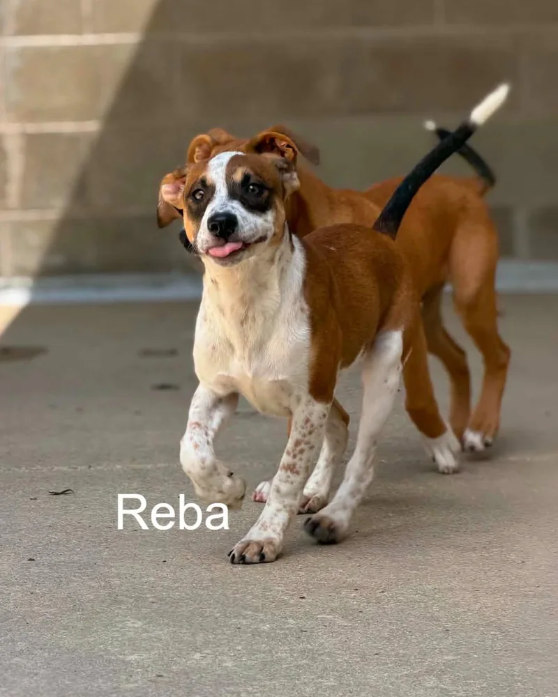 June and Reba thumbnail 2