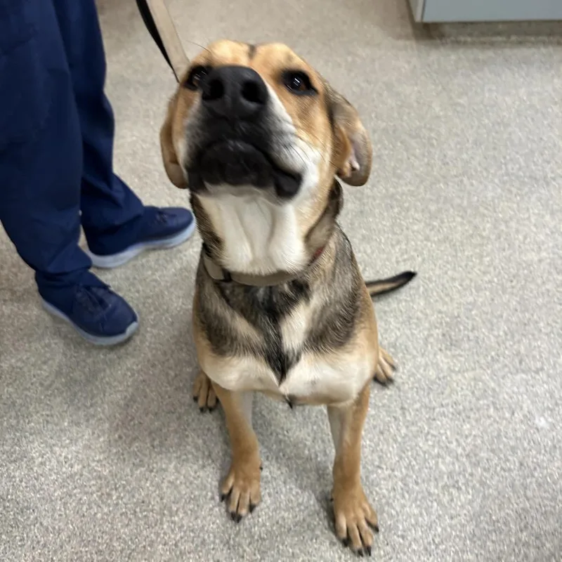 Theodore thumbnail 3