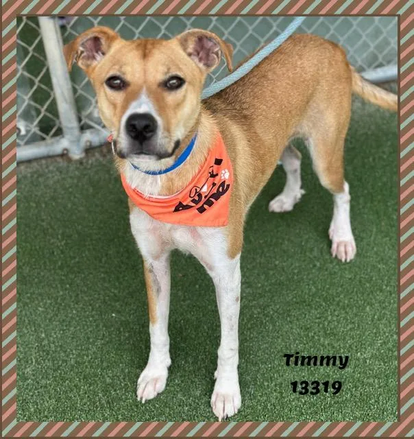 Timmy thumbnail 5