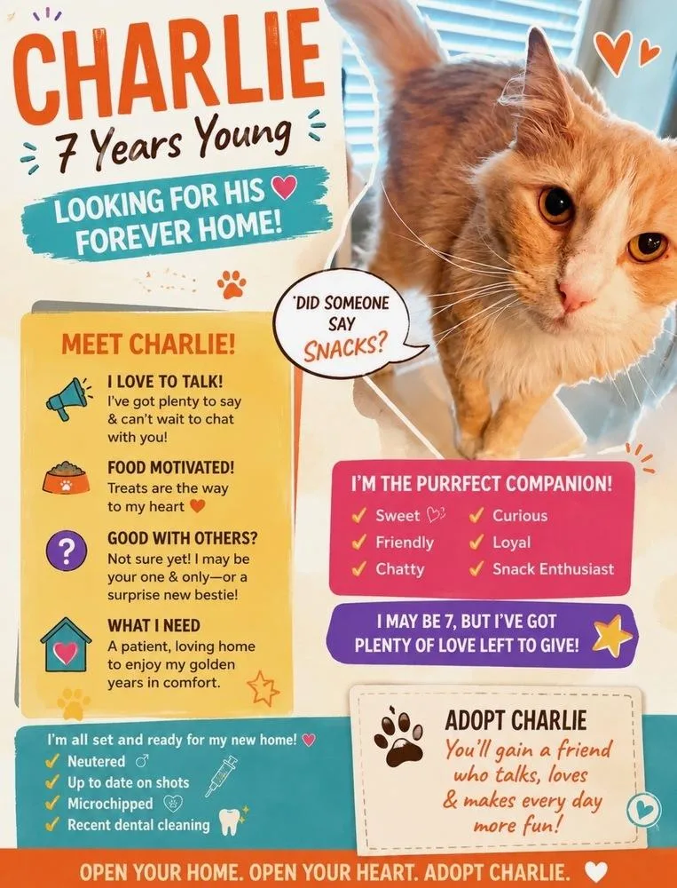 Charlie Se