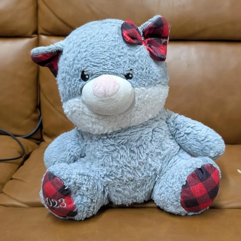 An adult small-sized male Orange / Red Domestic Short Hair cat named Jiggly  Test for adoption in Morganton, NC