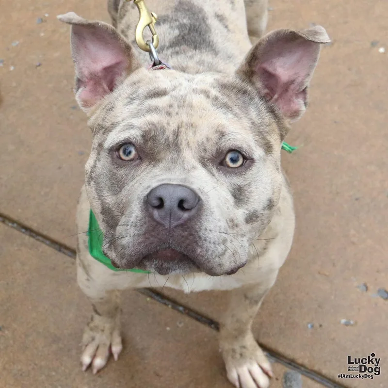 Splatter thumbnail 2