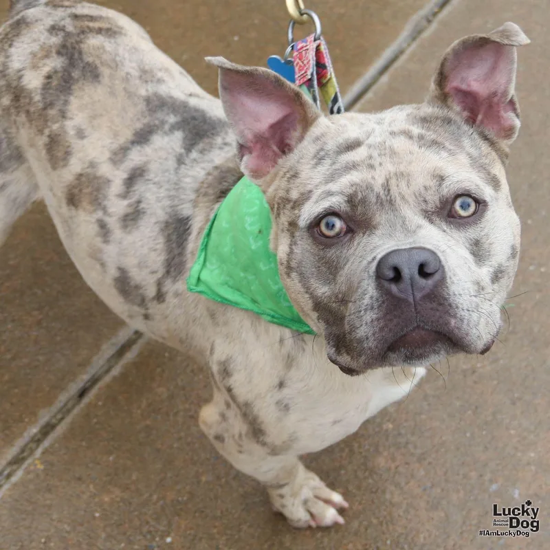 Splatter thumbnail 3