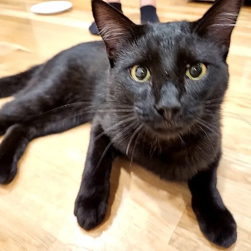 Handsome Andy thumbnail 2