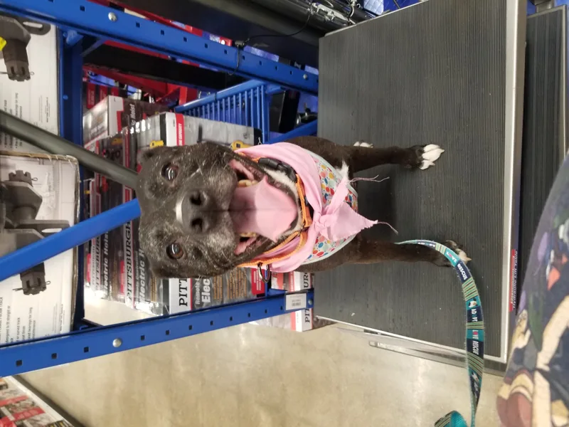 Little Maddie thumbnail 2