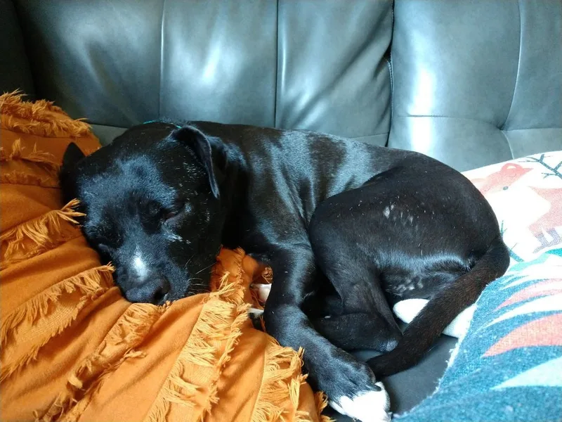 Little Maddie thumbnail 3