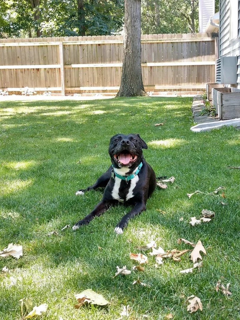 Little Maddie thumbnail 4