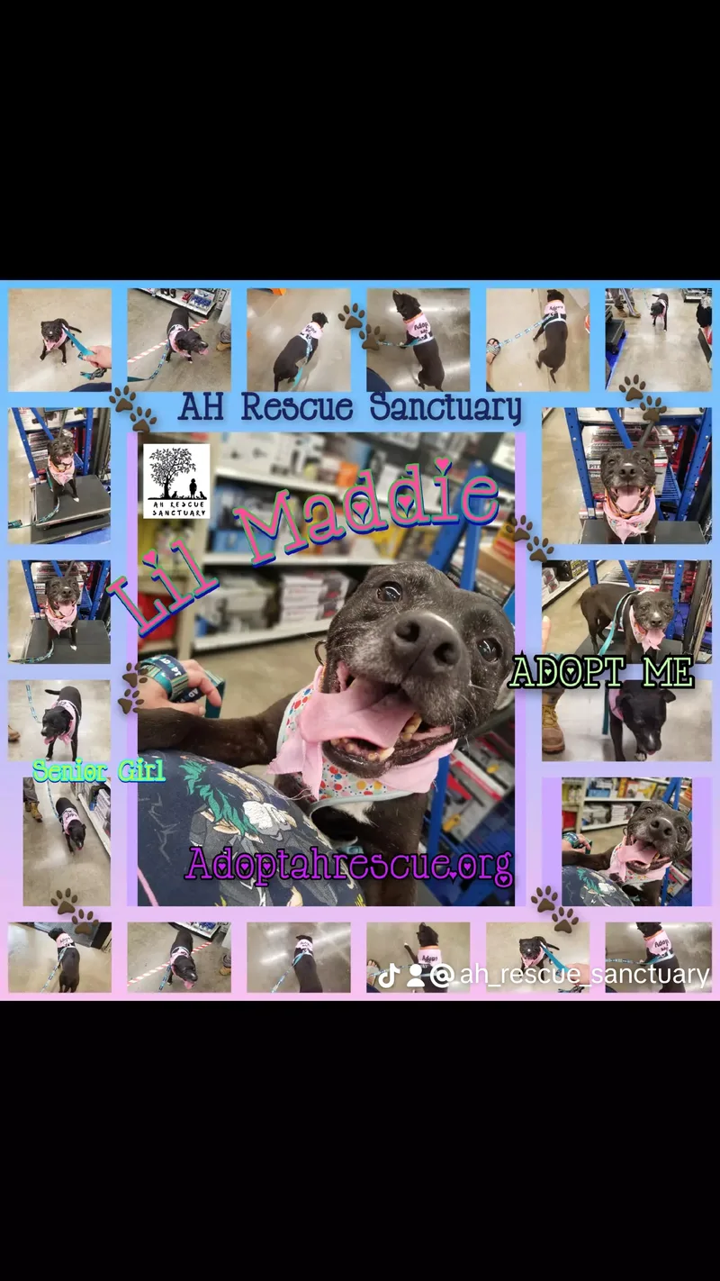 Little Maddie thumbnail 5