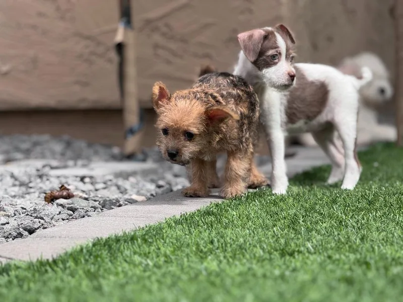 Surprise thumbnail 2