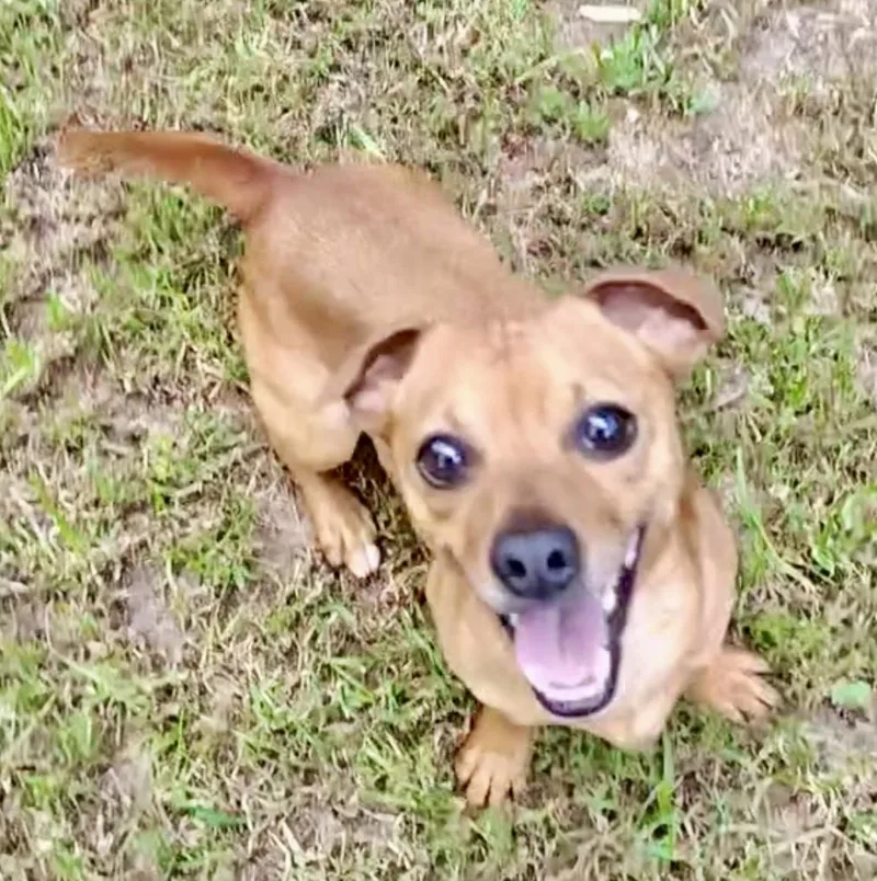 Butterbean thumbnail 3