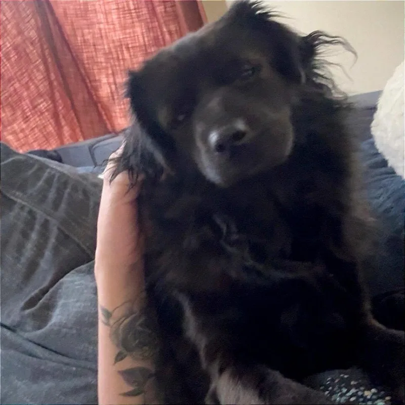 Billie thumbnail 2