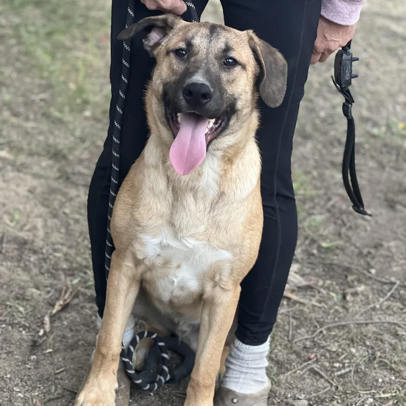 Rex~ Fun Loving Adventure thumbnail 3