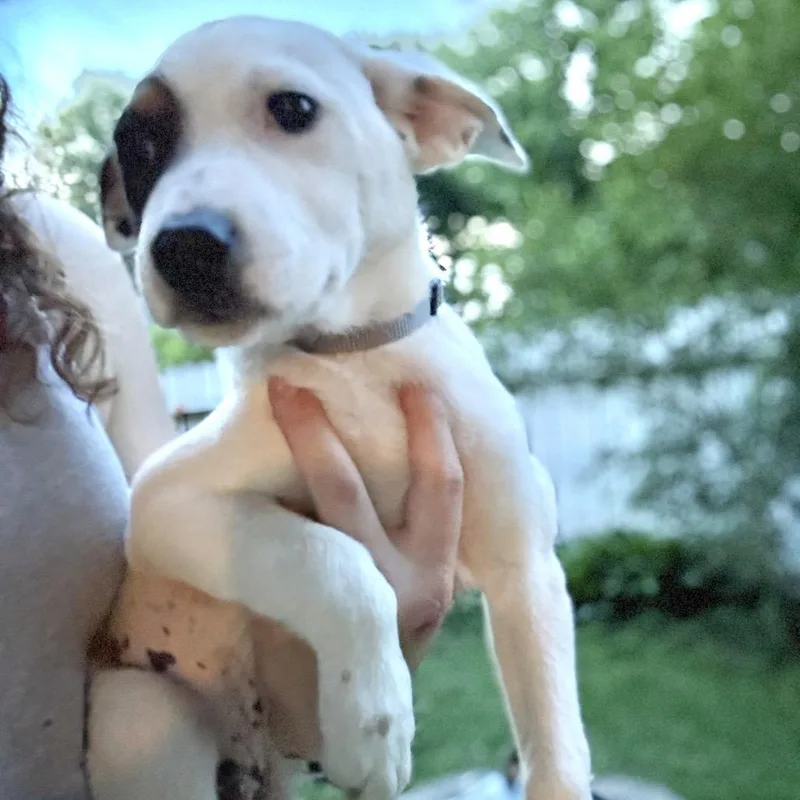 Wrangler thumbnail 3