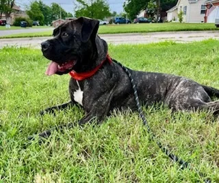 Mandi Sue “baby” 