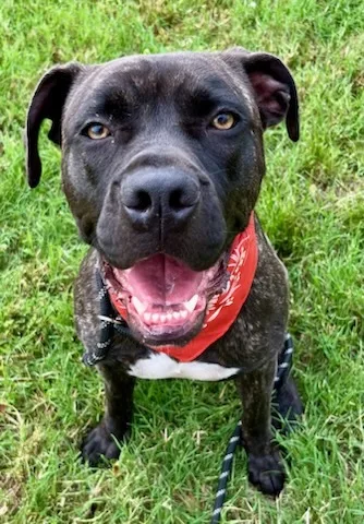 Mandi Sue “baby”  thumbnail 2