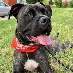 Mandi Sue “baby”  thumbnail 4