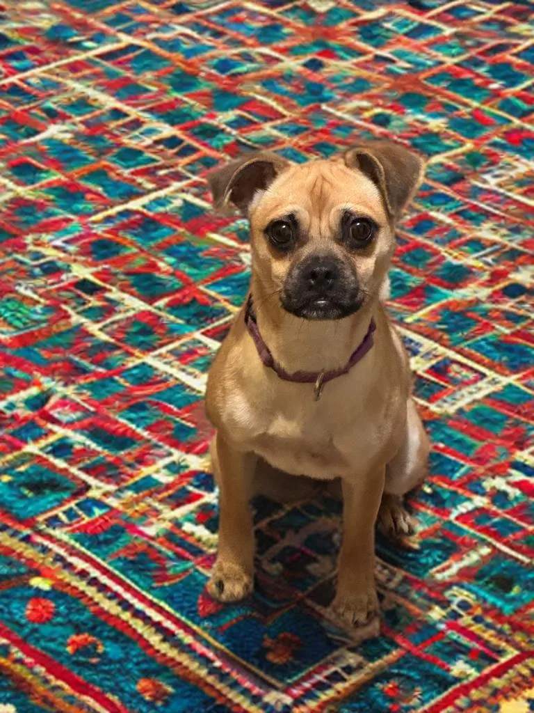 Penelope thumbnail 3