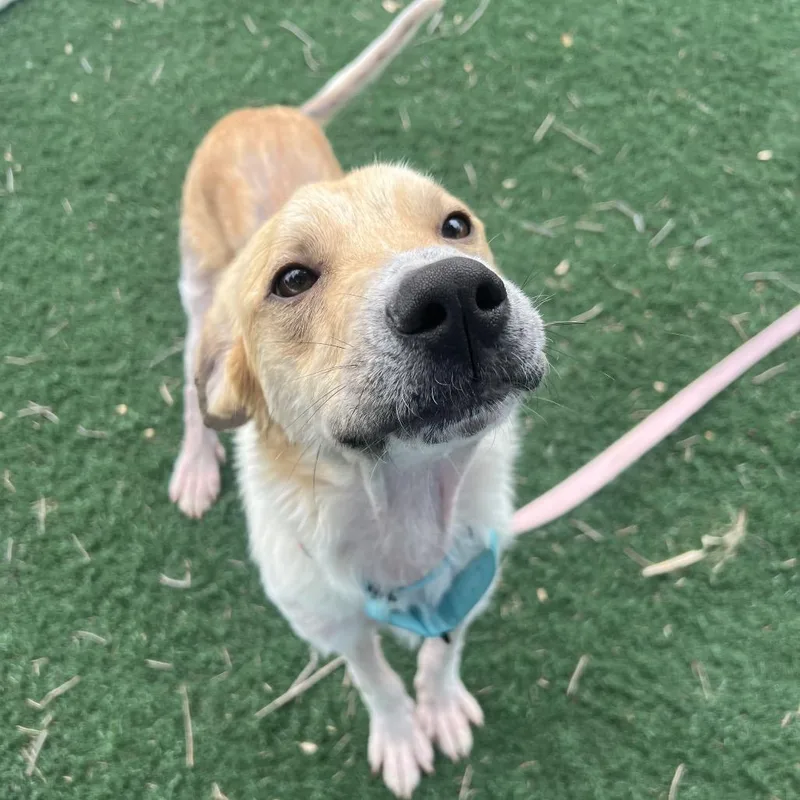 Alexander thumbnail 3