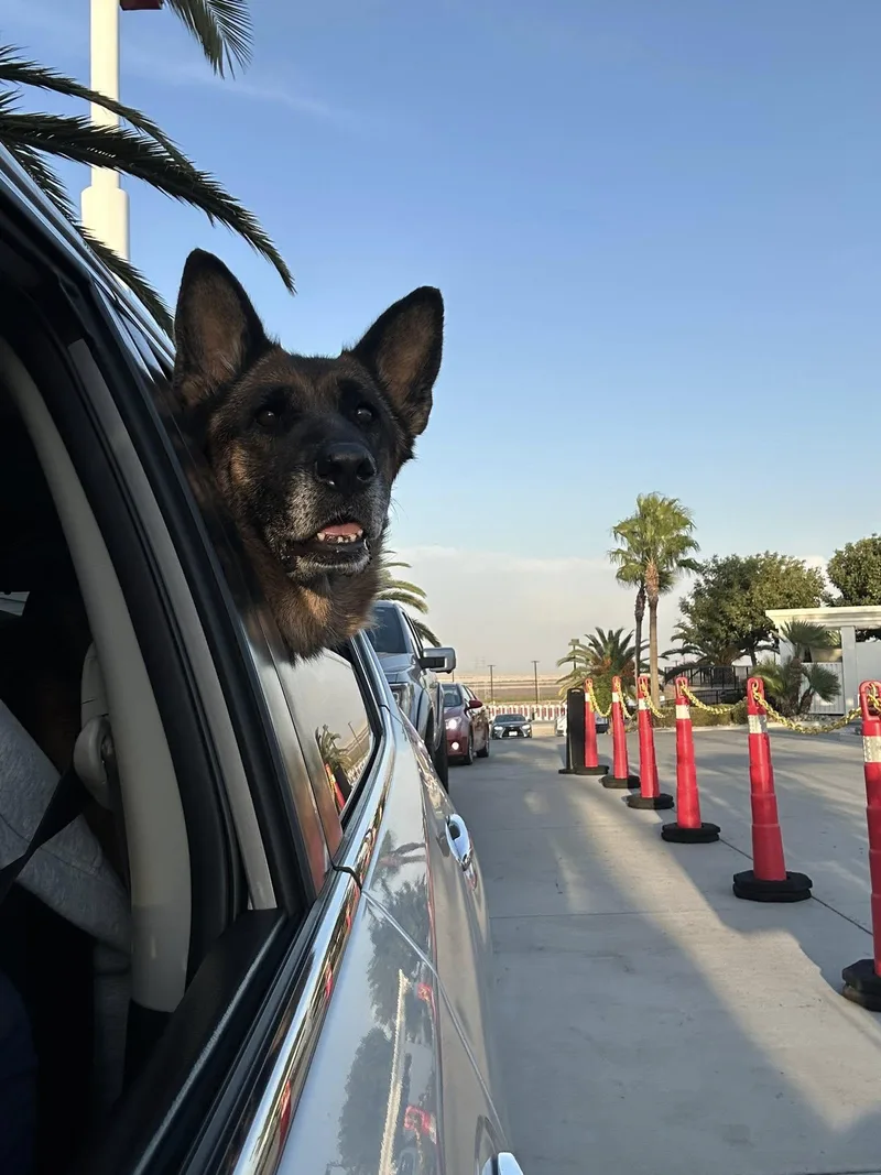 Tiramisu thumbnail 4