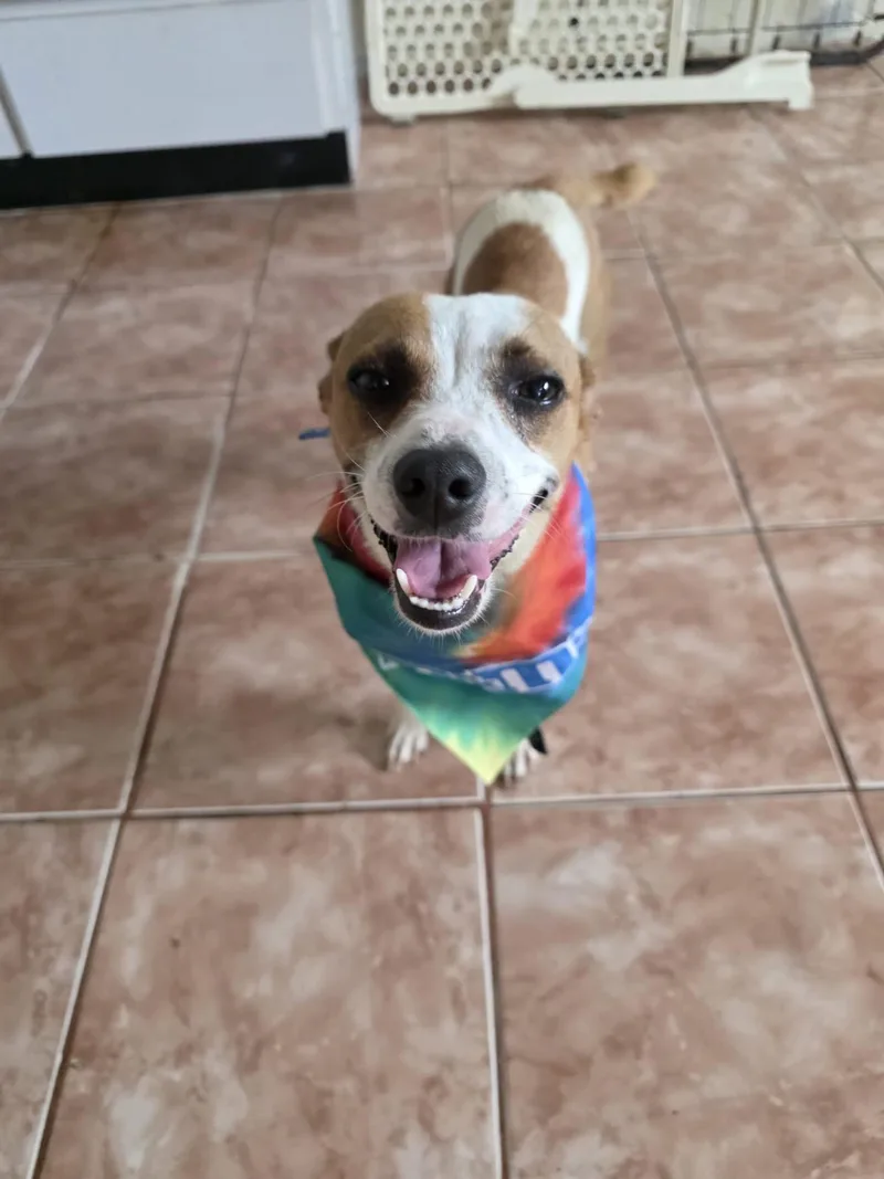 Nala thumbnail 3