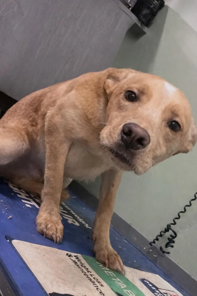 Meet Lila Mae — thumbnail 2