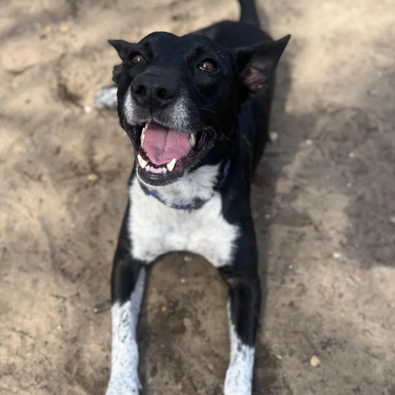 Brooklyn thumbnail 2