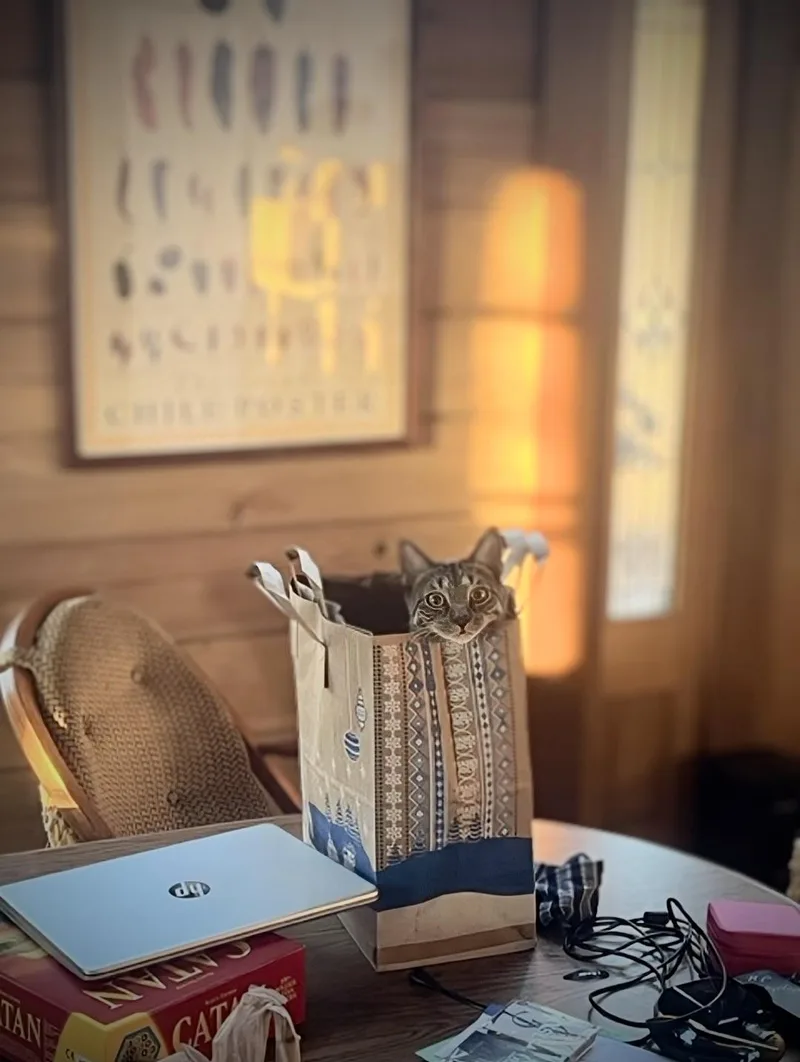 Howl & Princess Mononoke thumbnail 2