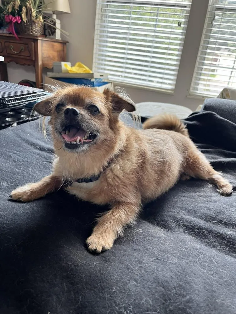 Bella