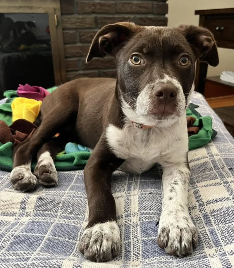 Molly