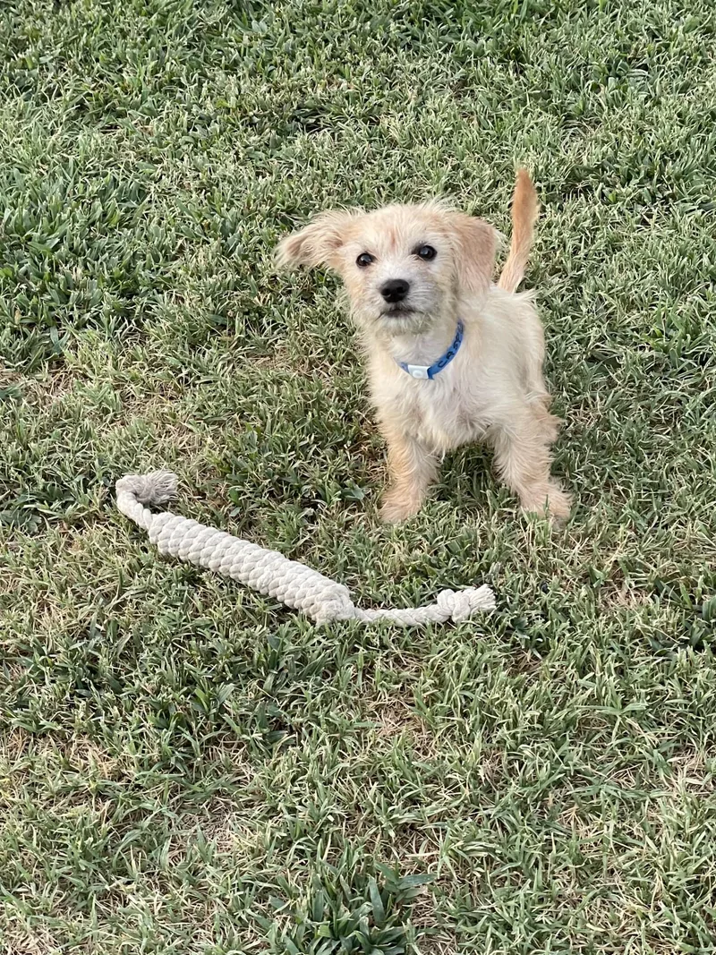 Baby Casper