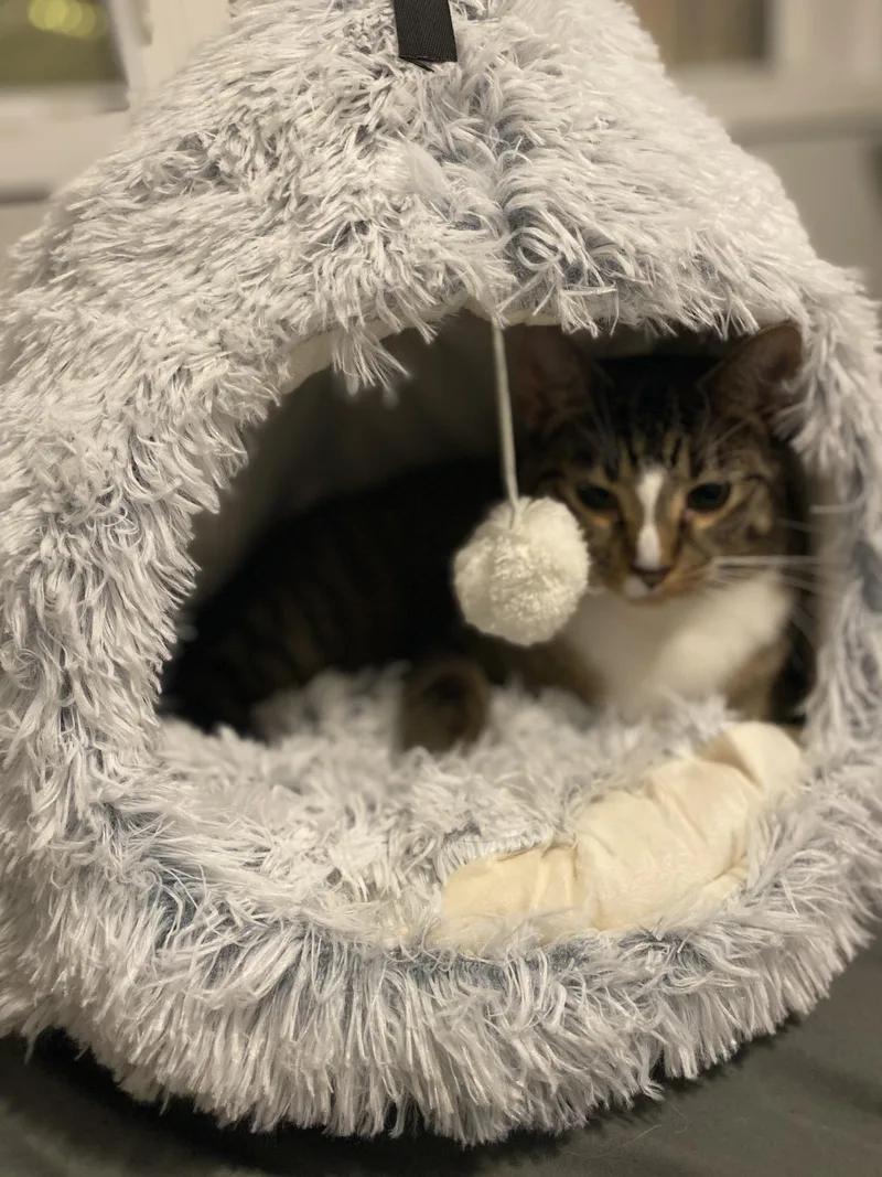 Martha & Franklin thumbnail 2