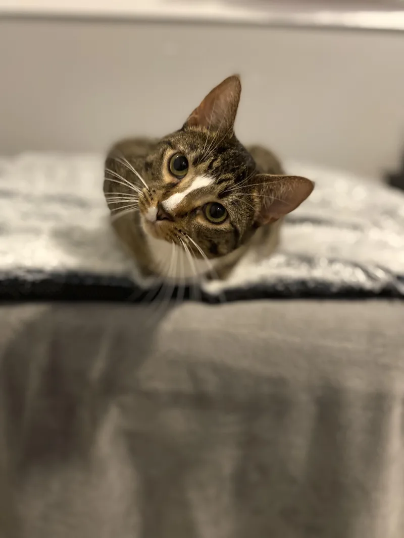 Martha & Franklin thumbnail 4