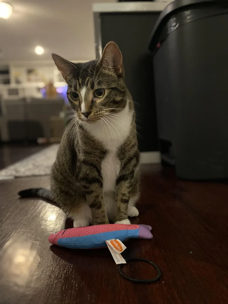 Martha & Franklin thumbnail 6