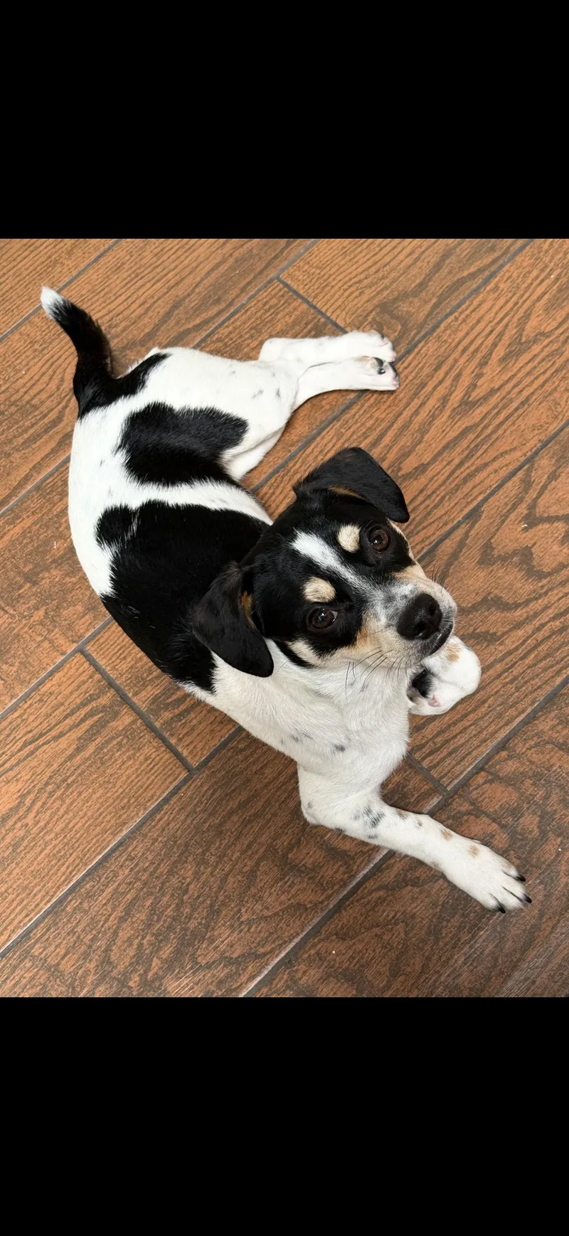 Cee Cee  The thumbnail 2