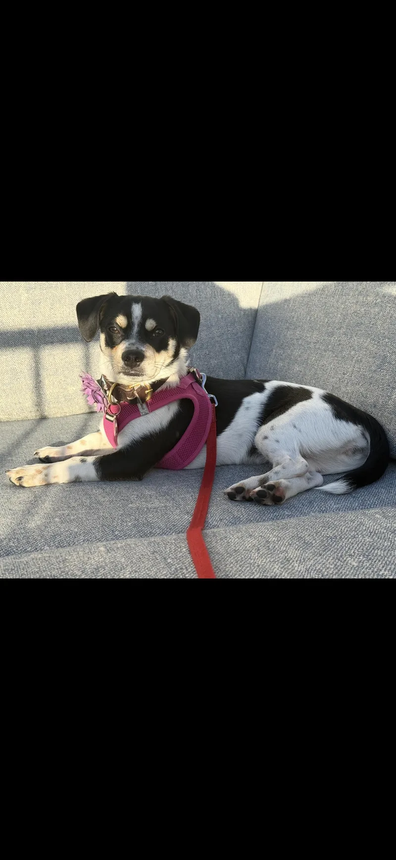 Cee Cee  The thumbnail 3