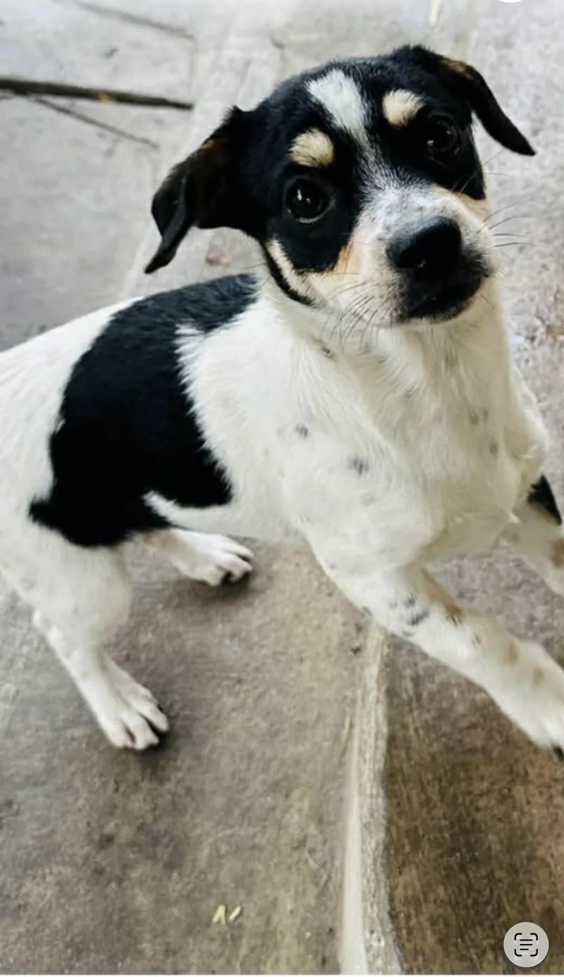 Cee Cee  The thumbnail 4