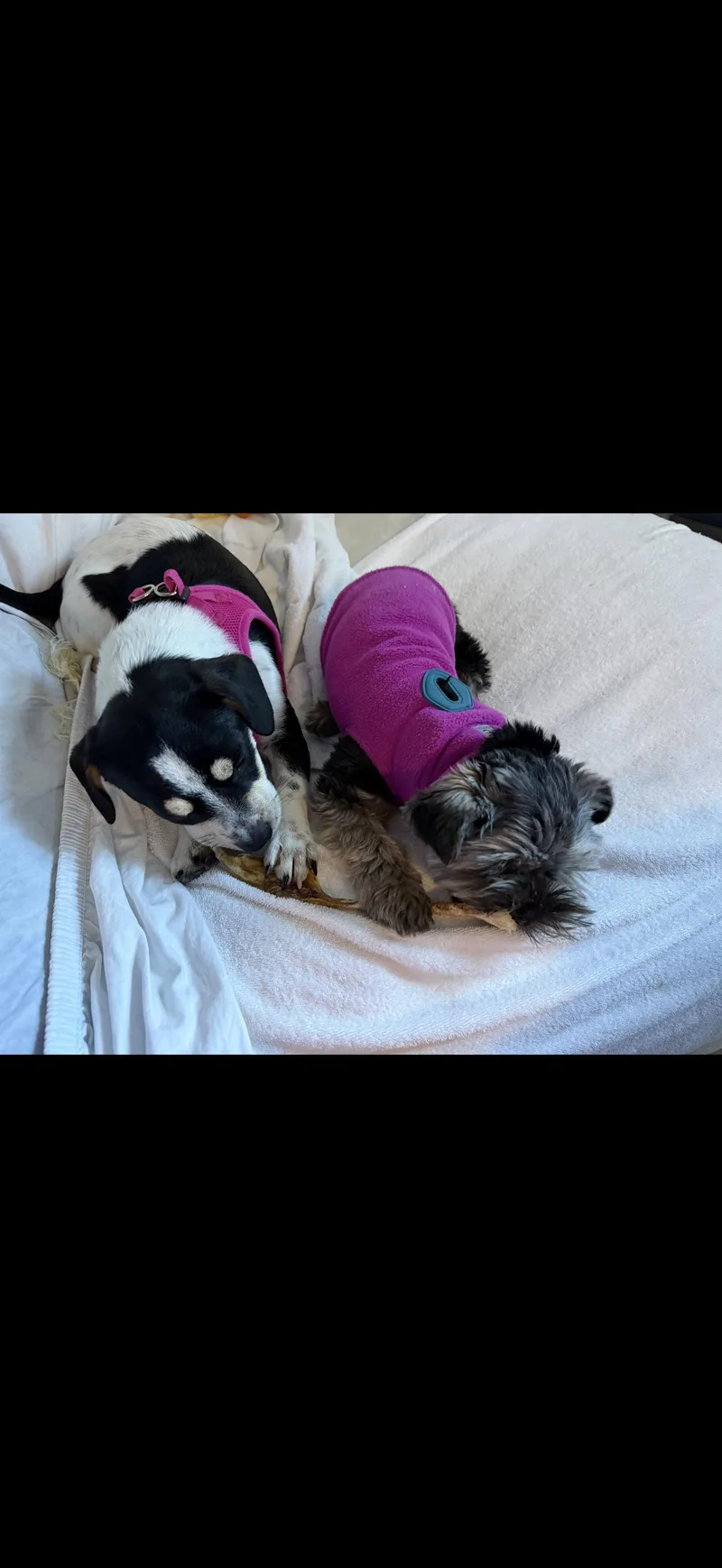 Cee Cee  The thumbnail 5