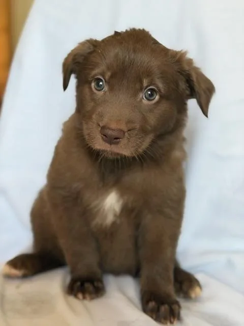 Mia