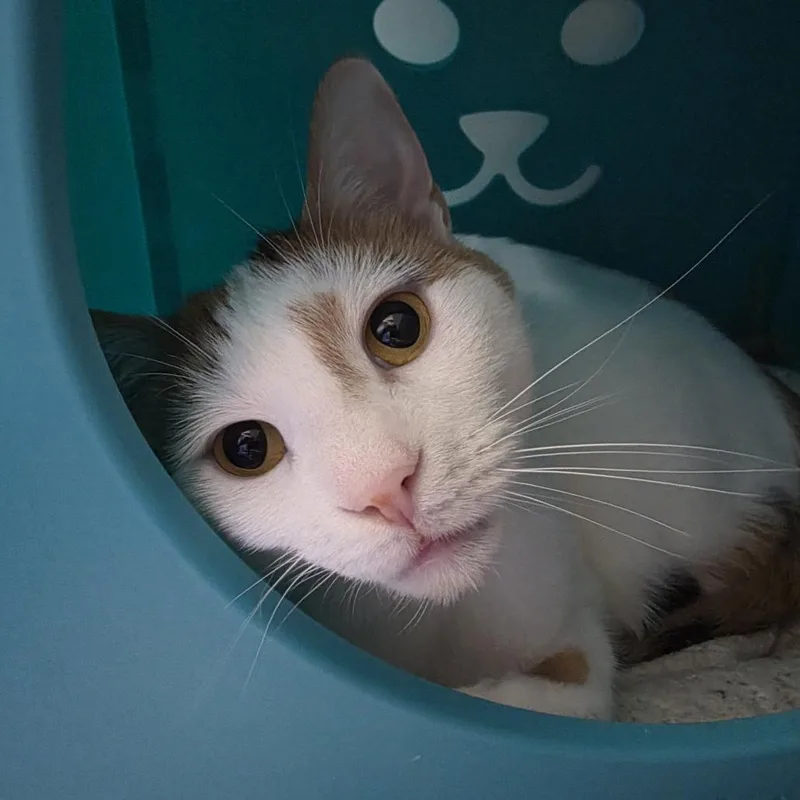 Maggie thumbnail 3