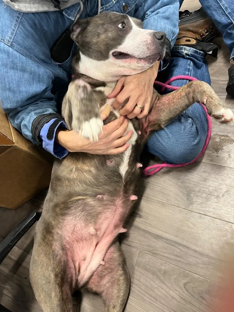 Granny May thumbnail 2