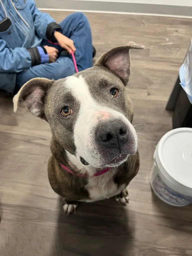 Granny May thumbnail 3