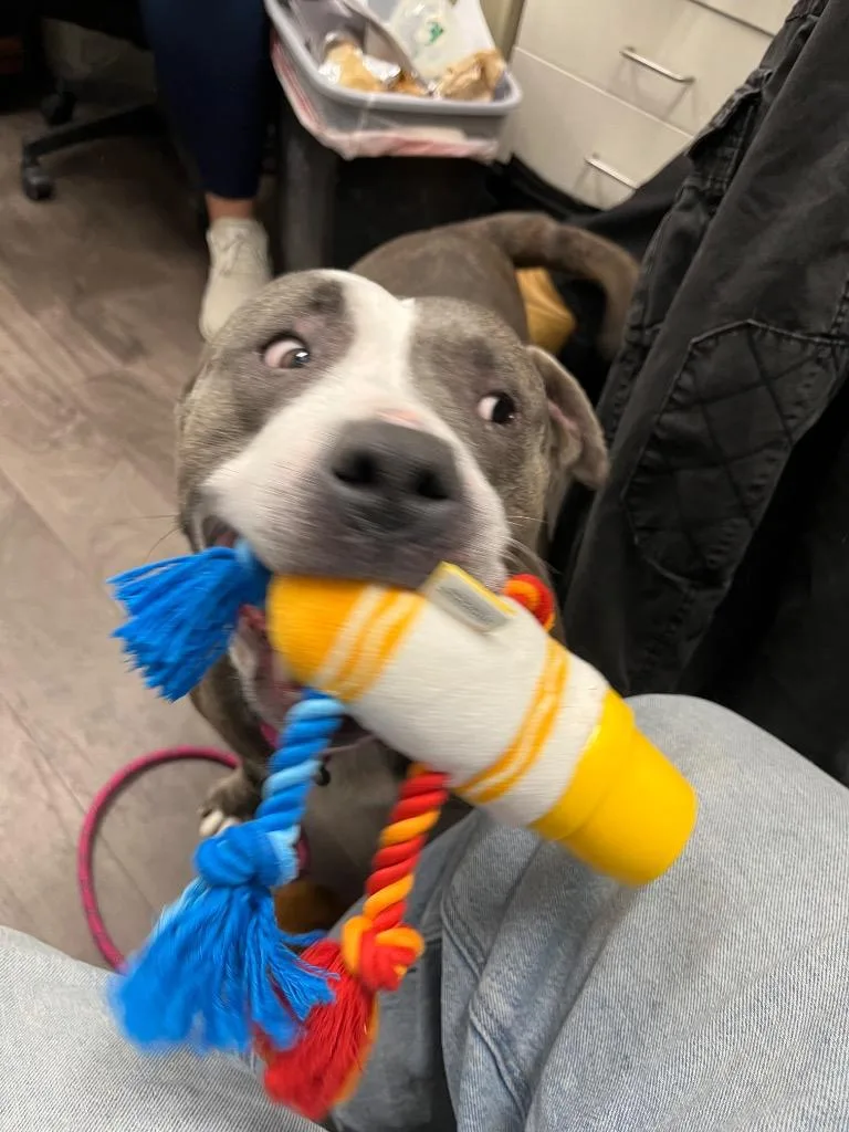 Granny May thumbnail 4